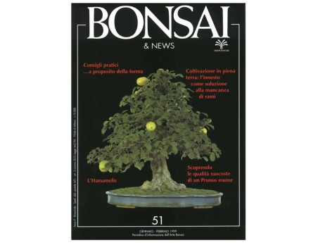 BONSAI & news n.  51 - Gennaio-Febbraio 1999