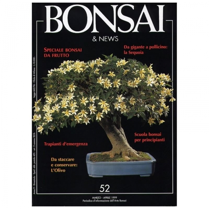 BONSAI & news n.  52 - Marzo-Aprile 1999