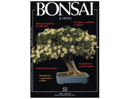 BONSAI & news n.  52 - Marzo-Aprile 1999