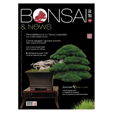 BONSAI & news 176 - November-December 2019