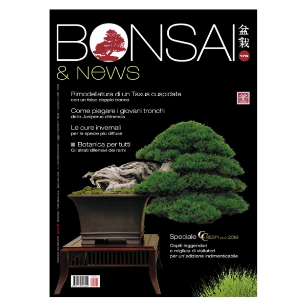 BONSAI & news 176 - Novembre-Dicembre 2019