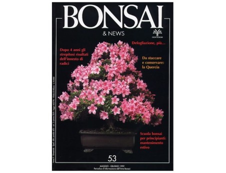 BONSAI & news n.  53 - Maggio-Giugno 1999