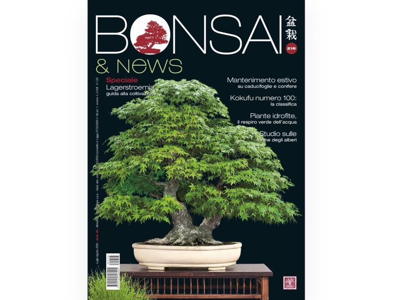 Bonsai & News | Crespi Bonsai Magazine: Bonsai Culture and Techniques