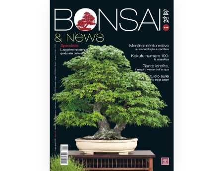 Bonsaï & Actualités | Magazine Crespi Bonsai : Culture et techniques du bonsaï
