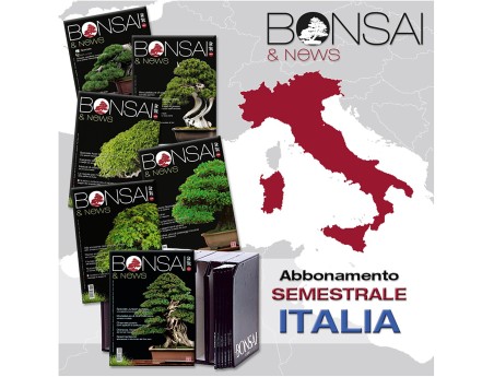 six-month-subscription-to-bonsainews-italy