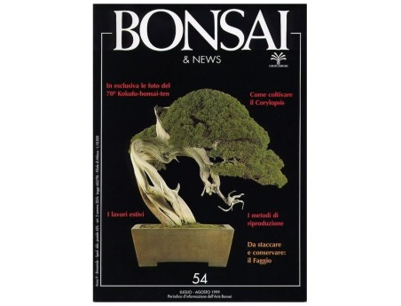 Bonsai & news n.  54 - Luglio-Agosto 1999
