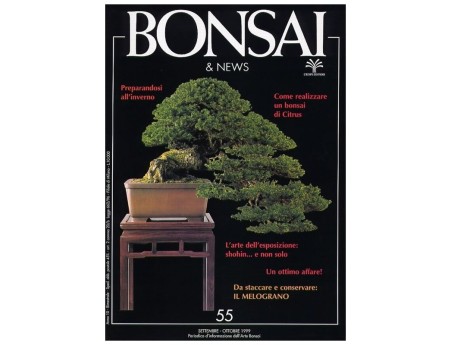 BONSAI & news n.  55 - Settembre-Ottobre 1999