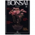 BONSAI & news n.  56 - Novembre-Dicembre 1999