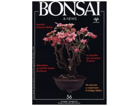 BONSAI & news n.  56 - Novembre-Dicembre 1999
