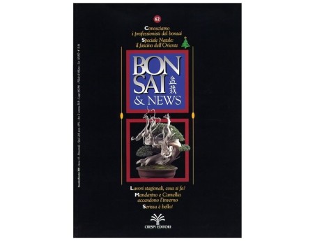Bonsai & news n.  62 - Novembre-Dicembre 2000