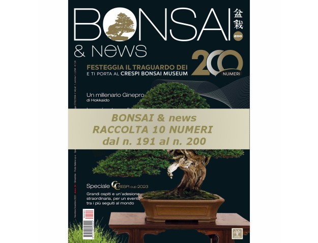 Raccolta BONSAI & news dal 191 al 200