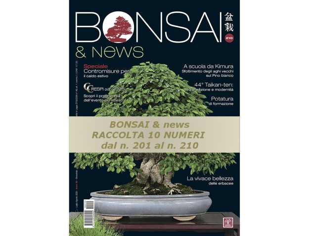 copy of BONSAI & news Collection - from 181 to 190