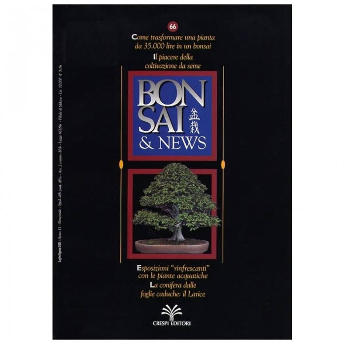 BONSAI & news n.  66 - Luglio-Agosto 2001