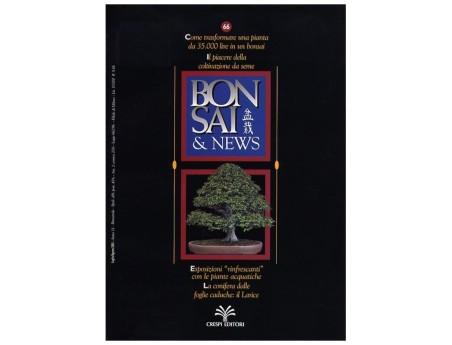BONSAI & news n.  66 - Luglio-Agosto 2001