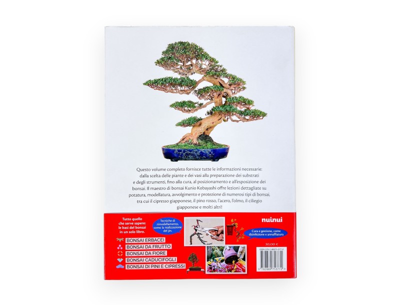 Bonsai – Lessons and advice from a great Japanese artist, Kunio Kobayashi