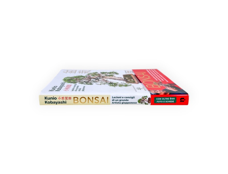 Bonsai – Lessons and advice from a great Japanese artist, Kunio Kobayashi