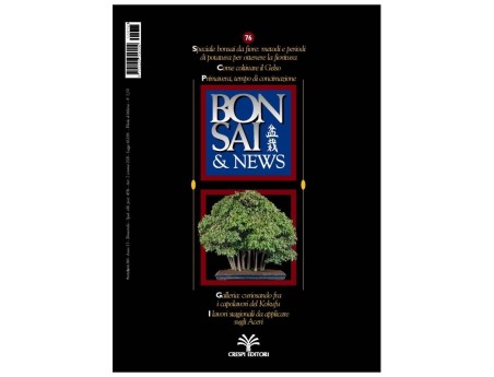 BONSAI & news n.  76 - Marzo-Aprile 2003