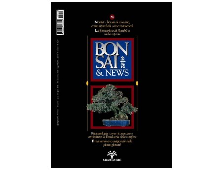 BONSAI & news n.  78 - Luglio-Agosto 2003