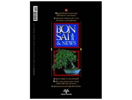 BONSAI & news n.  81- Gennaio-Febbraio 2004