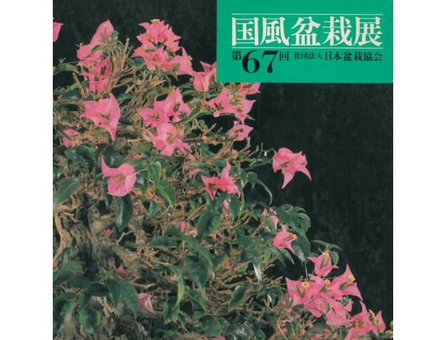 catalogo-kokufu-bonsai-exhibition-n-50-anno-1976-vintage-edition