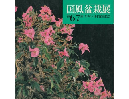 catalogo-kokufu-bonsai-exhibition-n-50-anno-1976-vintage-edition