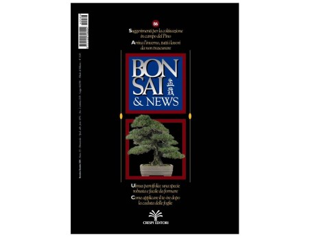 BONSAI & news n.  86 - Novembre-Dicembre 2004