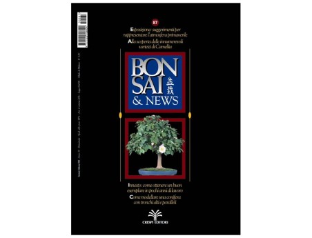 BONSAI & news n.  87 - Gennaio-Febbraio 2005