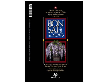 BONSAI & news n.  88 - Marzo-Aprile 2005
