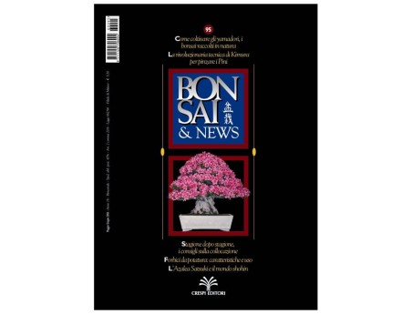 BONSAI & news n.  95 - Maggio-Giugno 2006