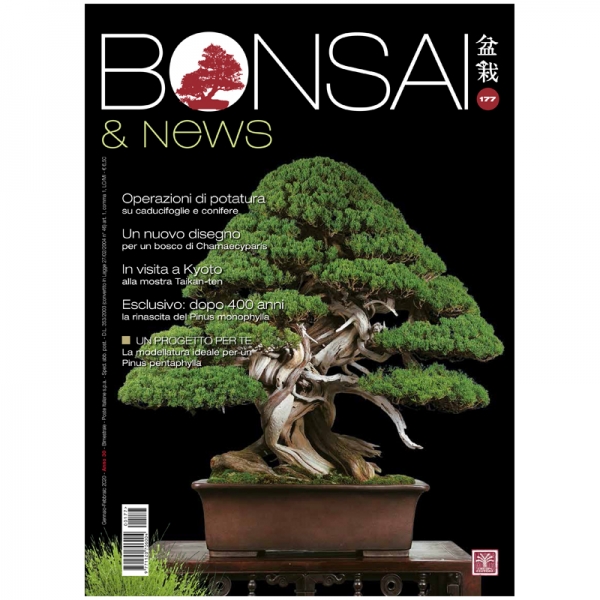 BONSAI & news 177 - Gennaio-Febbraio 2020