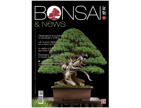 BONSAI & news 177 - Gennaio-Febbraio 2020