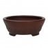 Pot Shuiming 14 cm