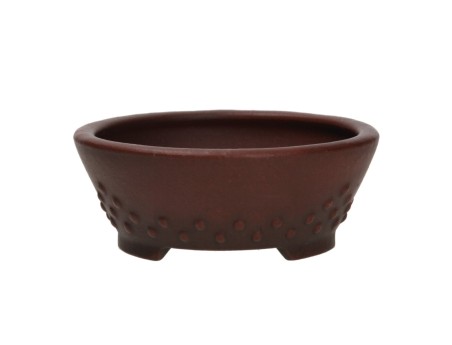 Pot Shuiming 14 cm