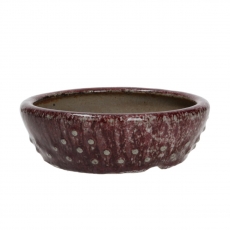 Pot Shuiming 14 cm