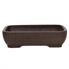 Vaso Shuiming  20 cm
