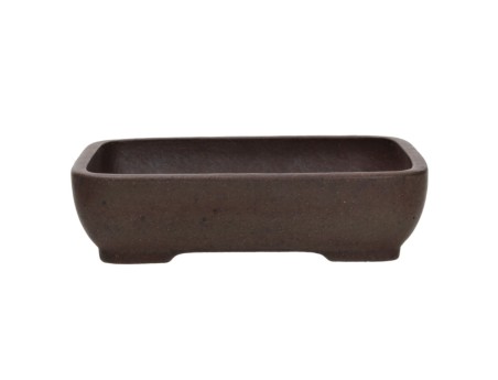 Vaso Shuiming  20 cm