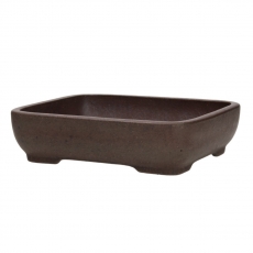 Vaso Shuiming  20 cm