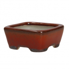 Pot Shuiming 9 cm