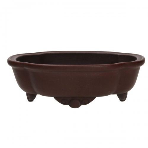 Pot Shuiming 20 cm