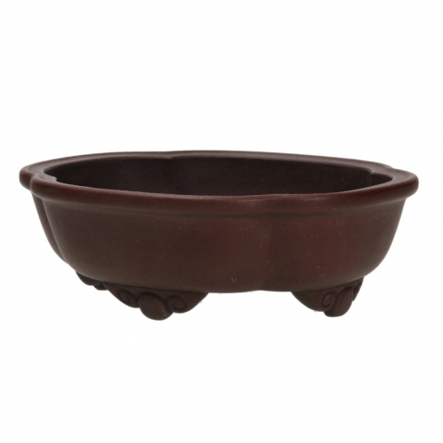 Pot Shuiming 20 cm