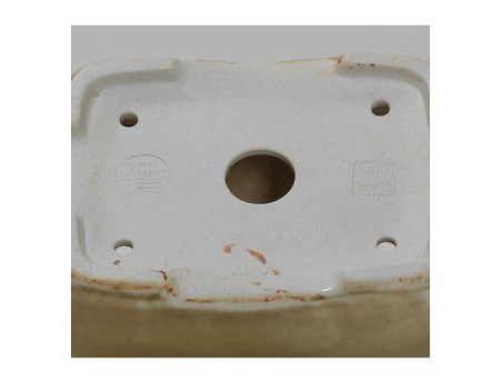 Pot Shuiming 10,5 cm