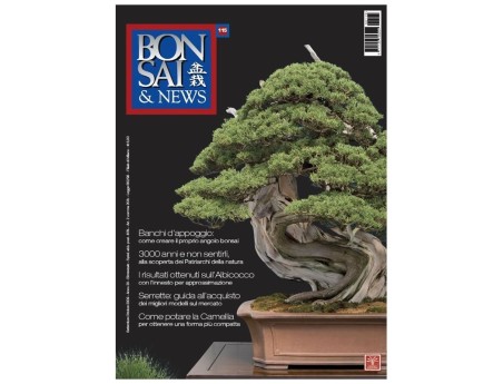 BONSAI & news n. 115 - Settembre-Ottobre 2009