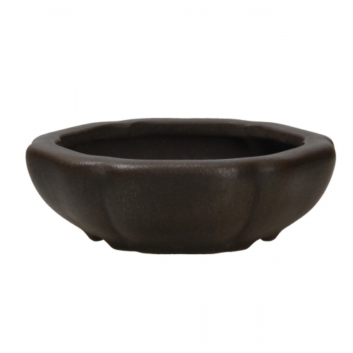 Pot Shuiming 12,3 cm