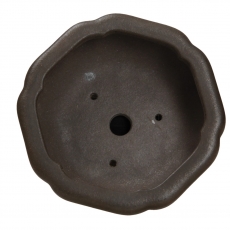 Vaso Shuiming 12,3 cm