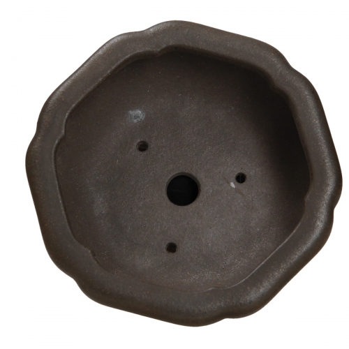 Vaso Shuiming 12,3 cm