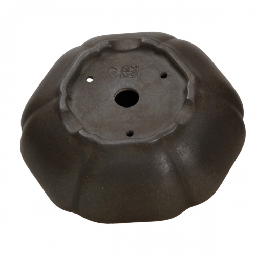 Vaso Shuiming 12,3 cm