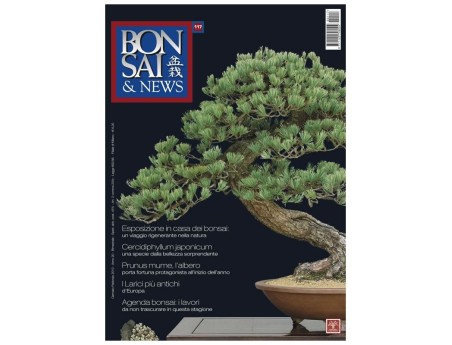 BONSAI & news n. 117 - Gennaio-Febbraio 2010
