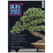 BONSAI & news 117 - Gennaio-Febbraio 2010
