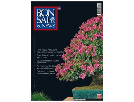 BONSAI & news n. 119 - Maggio-Giugno 2010