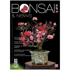 BONSAI & news 178 - Mars-avril 2020